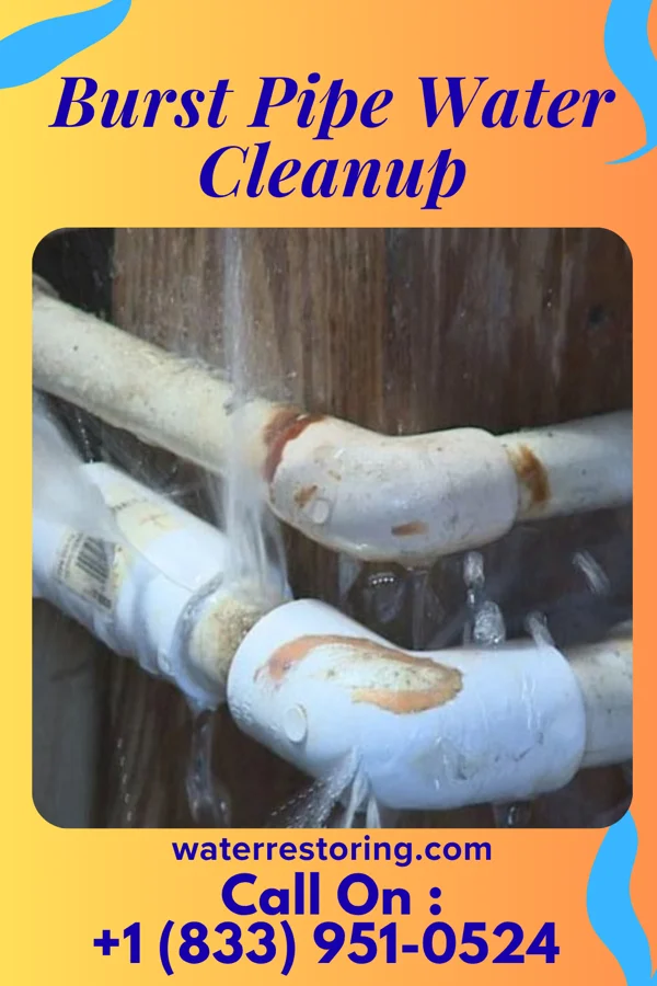 Burst Pipe Water Cleanup in Miamisburg, OH