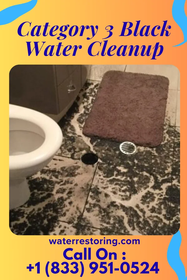 Category 3 Black Water Cleanup in Miamisburg, OH